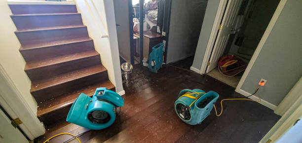 Best Flood restoration services  in Huachuca City, AZ