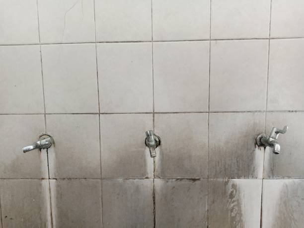 Best Water damage restoration process  in Huachuca City, AZ