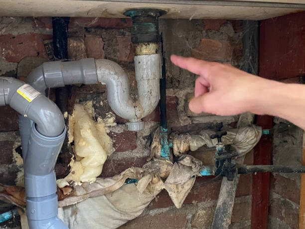 Trusted Huachuca City, AZ Water damage restoration Experts